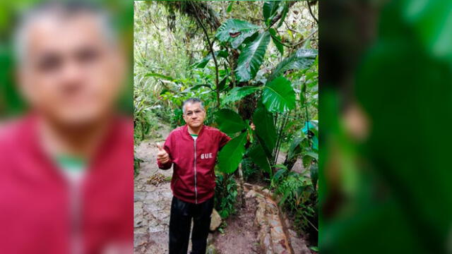 La quina contra el coronavirus: científicos peruanos impulsan nuevo fármaco a base de este árbol [FOTOS]