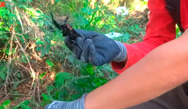 Desliza las imágenes para ver lo que sucedió con este joven investigador. Foto: YouTube