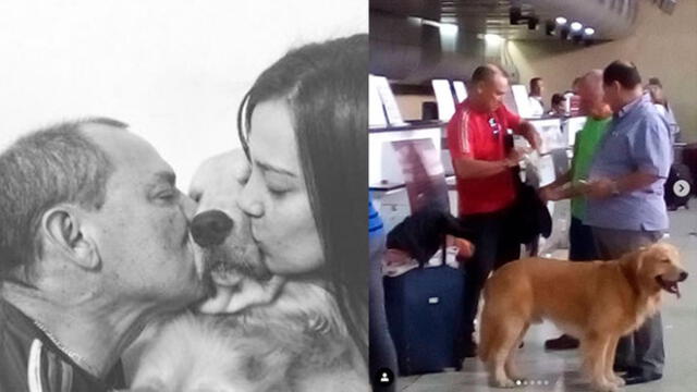 ‘Hachi’, el golden retriever que murió en un vuelo y aerolínea no permitió que familiares lo vieran [VIDEO]