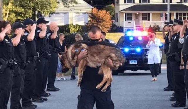 Facebook: la conmovedora despedida a Hunter, un perro policía con cáncer terminal [FOTOS]