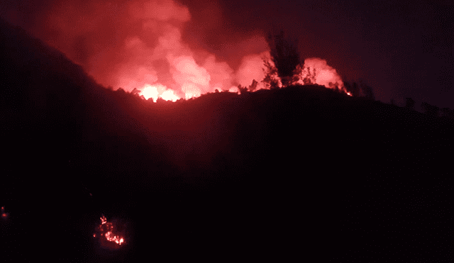 Incendio en Cerro del Chiquihuite