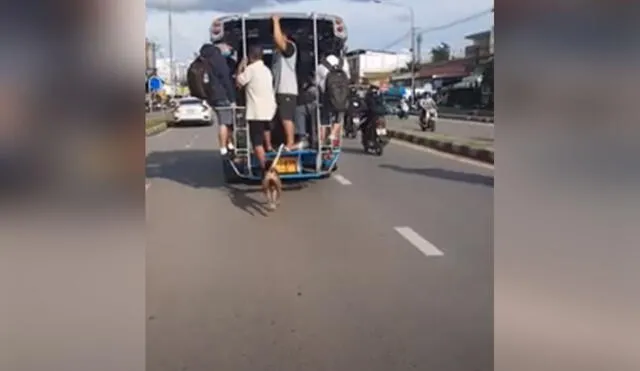 Desliza para ver cómo este perro callejero corre tras un vehículo de transporte público para ‘treparse’ en este y recorrer la ciudad. Foto: captura de YouTube