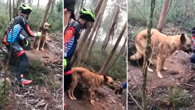 Facebook: Ciclistas rescatan a perro que iba a morir de hambre y sed en pleno bosque