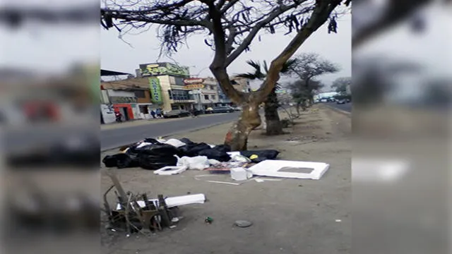 Descuido y falta de limpieza en avenidas de Lima Norte