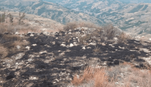 Incendio forestal arrasa hectáreas de zona arqueológica.