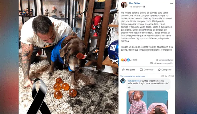 Facebook viral: fan de Dragon Ball Super se despide de su mascota con emotivo mensaje