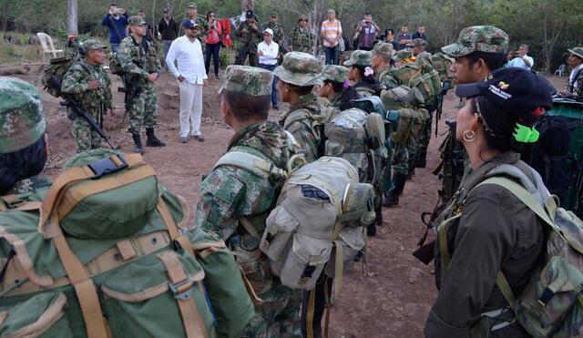 En Colombia la paz se asienta: ex FARC en campamentos de transición a vida civil | FOTOS