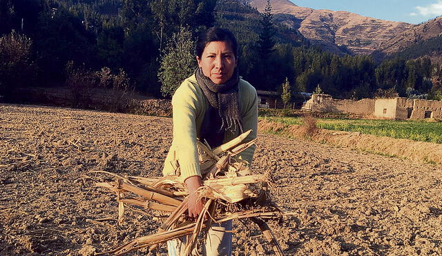 campesino agricultura