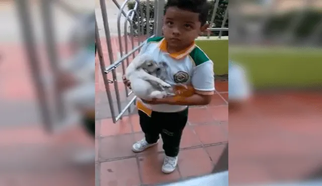 En Facebook, una señora mandó a su hijo a comprar a la tienda y él regresó con un indefenso cachorro.
