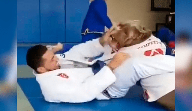 Facebook: Profesor de Jiu Jitsu enseña artes marciales a su pitbull en pleno Dojo [VIDEO]