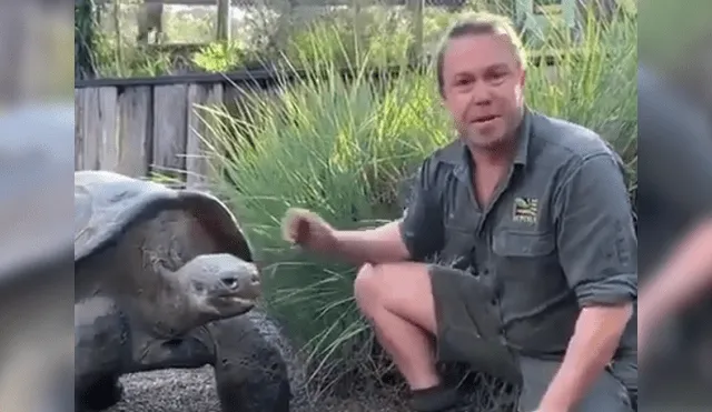 Turistas graban gigantesca tortuga junto a su cuidador.