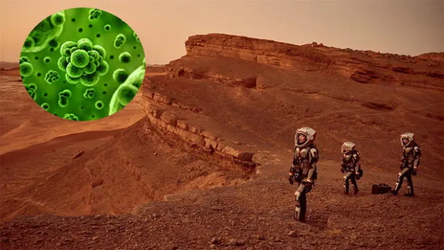 Gracias a un microorganismo los humanos podrían respirar en Marte