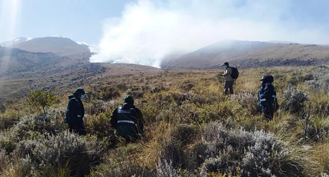 Incendio forestal arrasó con pastizales y vegetación de una parte de la reserva nacional de Salinas y Aguada Blanca en Arequipa.
