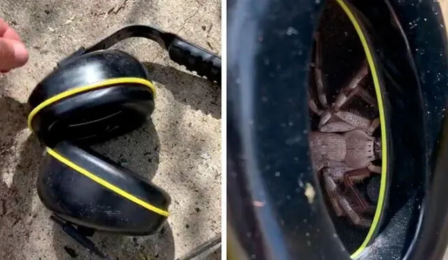 Desliza las imágenes para conocer la terrible experiencia que vivió un hombre al inspeccionar sus audífonos. Foto: Captura de Instagram