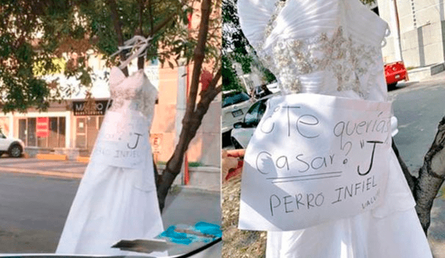 Twitter: Furiosa mujer expone su vestido de novia en árbol y peculiar mensaje impresiona a miles [FOTOS]