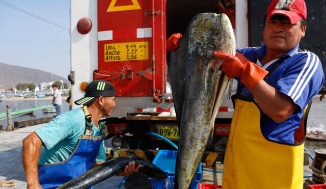 Ministerio de la Producción fomenta diálogo en Chimbote para fortalecer pesca de consumo humano