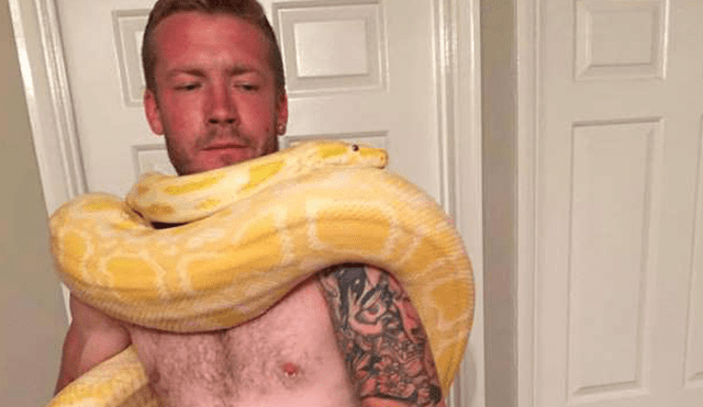 Reino Unido: Amante de las serpientes tuvo trágico final tras adoptar una pitón