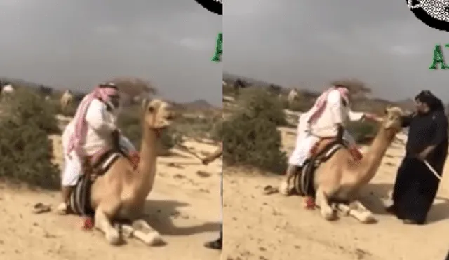 Facebook: camello no soportó a un hombre de peso y final hace reír [VIDEO] 