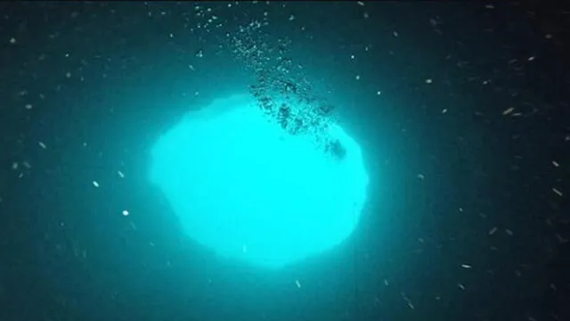 Vista desde el interior del agujero azul de Amberjack, en la Costa de Florida - Laboratorio Marino Mote