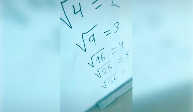 Desliza las imágenes para conocer las habilidades de una perrita al ‘responder’ unos problemas matemáticos. Foto: captura de Facebook