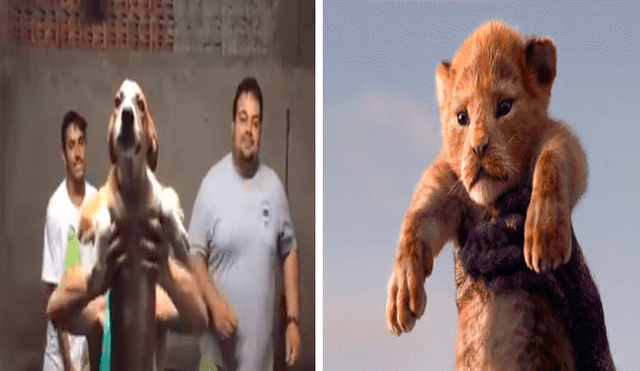 Facebook viral: tráiler de 'El Rey León' es recreado por jóvenes con ayuda de su perro [VIDEO]