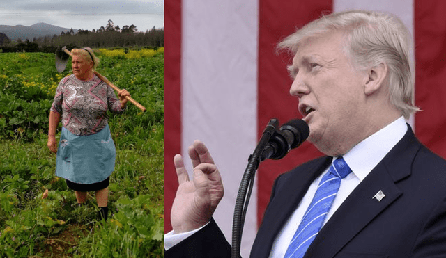 Instagram: ¿Donald Trump dejó la Casa Blanca para cosechar papas en España?
