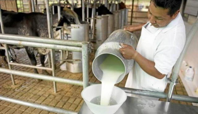 Producción de leche.