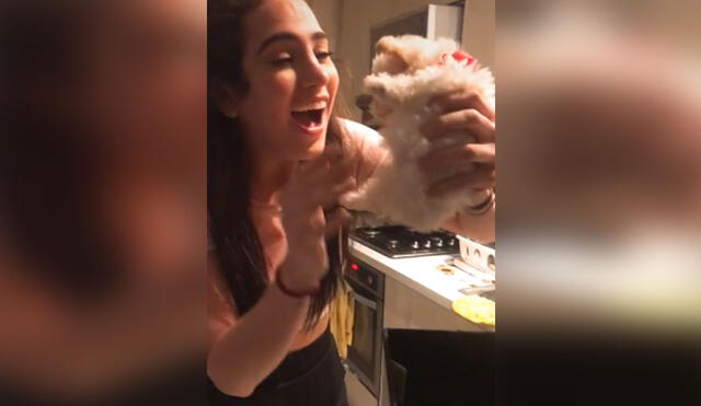 Desliza para ver más imágenes de esta tierna escena en la que una joven recibe a su primera mascota. Foto: captura de TikTok