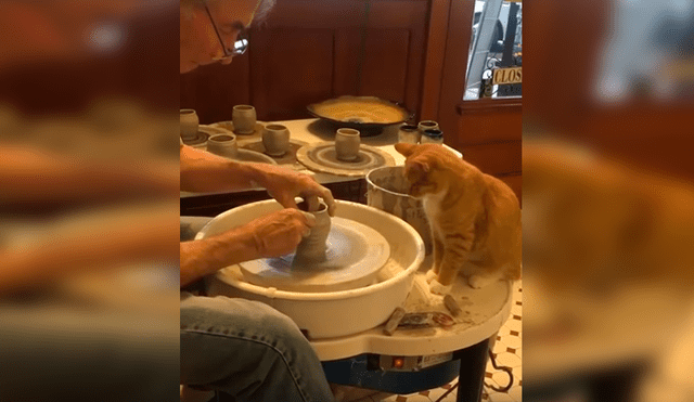 En Facebook, un travieso gato miraba atento las labores de alfarería de su dueño y trata de ‘ayudarlo’.