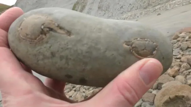 Desliza las imágenes para ver el increíble hallazgo que hizo un paleontólogo en el interior de una extraña roca. Foto: Newsflare
