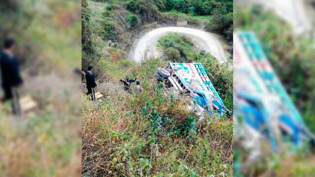 Cajamarca: camión con ganado cae a abismo y deja grave a conductora [VIDEO]