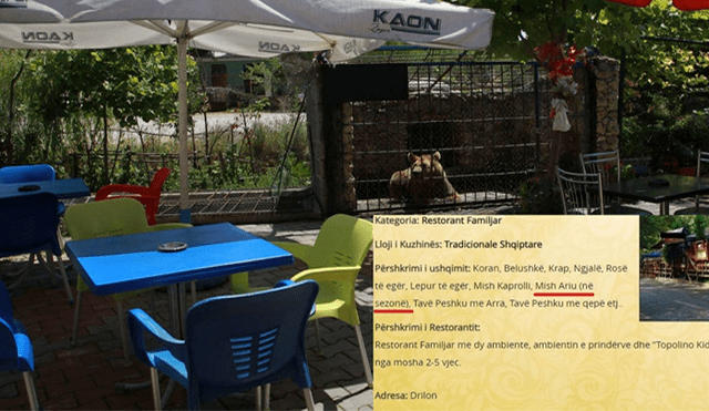 El restaurante no solo compra carne de osos, sino también monos, lobos y aves rapaces en comercios ilegales. (Foto: Mitre)