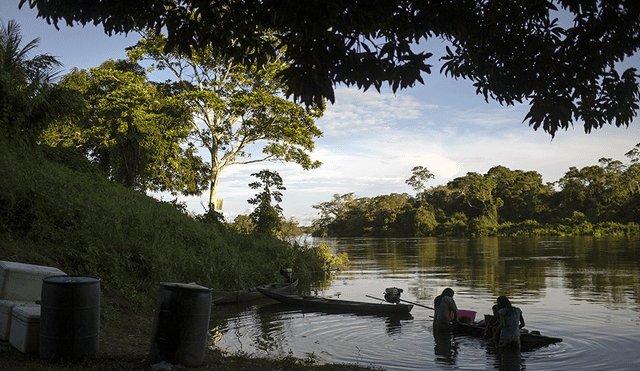 Jair Bolsonaro: el futuro destructor de la Amazonía