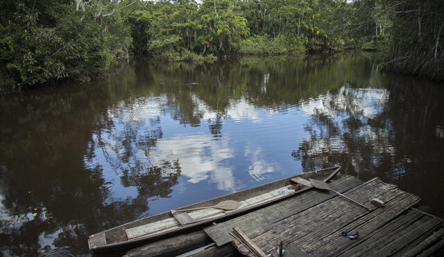 Defensores indígenas denunciarán ante la CIDH violación de derechos por los gobiernos de la cuenca amazónica