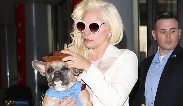 Lady Gaga sufrió un duro momento tras conocer del robo de dos de sus mascotas. Foto: TMZ
