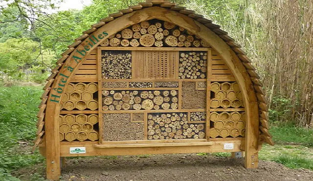 Los hoteles para abejas ayudan a proteger la especie. (Foto: Dateriles)