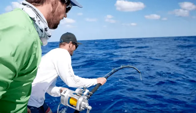 Un video viral de YouTube, captado por un grupo de pescadores deja al descubierto la identidad del gigantesco pez que lograron atrapar.