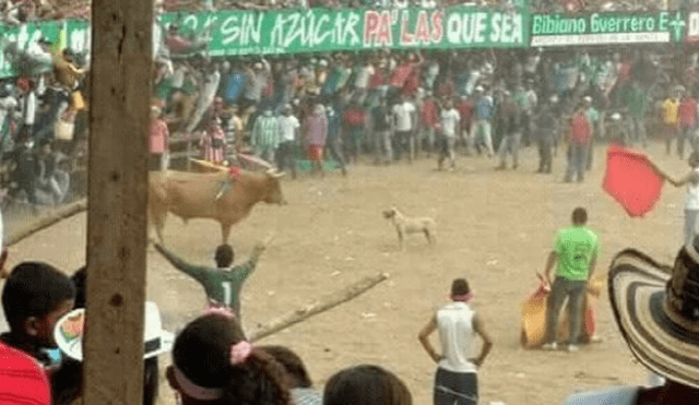 YouTube Viral: Perro pelea con toro para defender a su dueño [VIDEO]