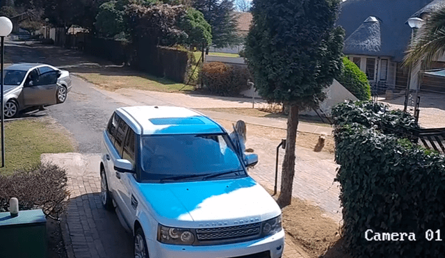 YouTube: mujer impide el robo de su camioneta con espectacular maniobra [VIDEO]