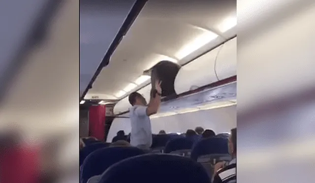 Facebook: pasajero intenta acomodar su equipaje y se vuelve viral [VIDEO]