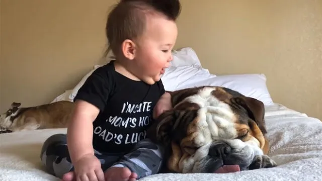 Facebook viral: gesto de un bebé con su perrito conmueve a miles en las redes [VIDEO]