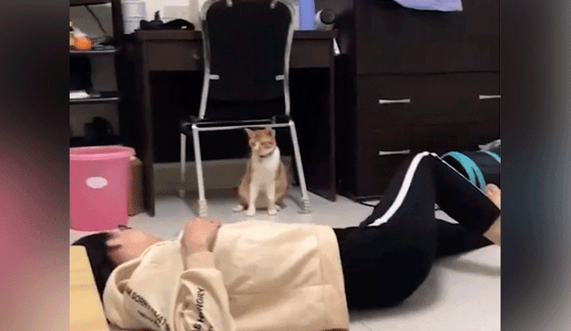 Vía Facebook: mujer finge "morir" frente a su gatito y este tiene insólita reacción [VIDEO]