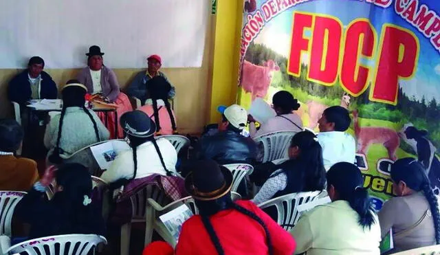 Campesinos de Puno acatarán  paro agrario del 13 de mayo