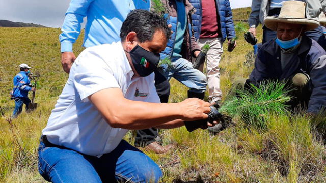 Campaña de reforestación en San Miguel Cajamarca