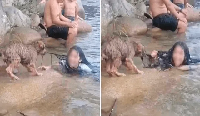 Desliza las imágenes para conocer a Matías, el perro que intentó salvar a su dueña que ‘se ahogaba’ en una laguna. Foto: TikTok