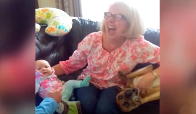 YouTube: perro hace escena de celos al ver a su dueña acariciando a su bebé 