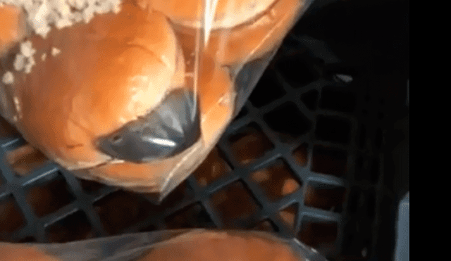 Cliente captó a ratón en restaurante dentro de un pan [VIDEO]