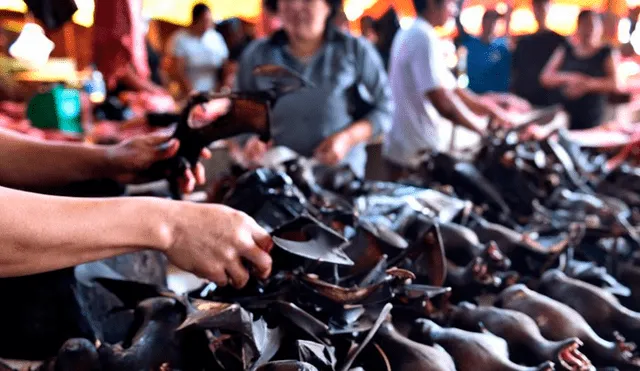 Los mercados de China venden murciélagos luego del levantamiento de la cuarentena por el coronavirus. Foto: AFP