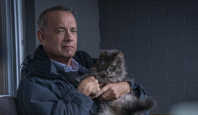 Tom Hanks vuelve al cine con una conmovedora película familiar. Foto: Sony Pictures