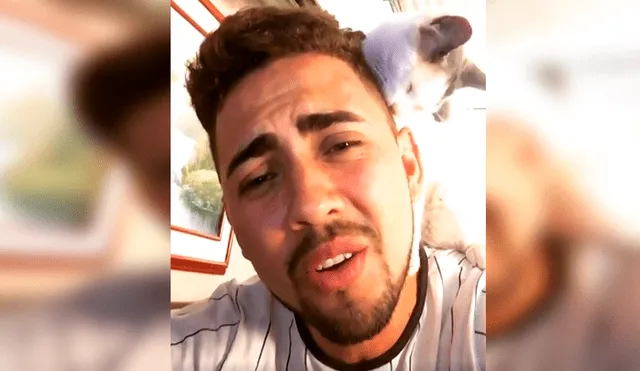 En Facebook, un gato se subió encima de su dueño cuando lo escuchó interpretar una popular canción.